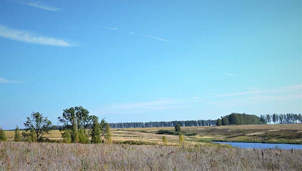 Зеленая миля